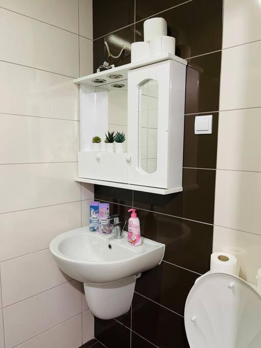 New Modern Rooftop Apartment-Free Private Parking Skopje Esterno foto
